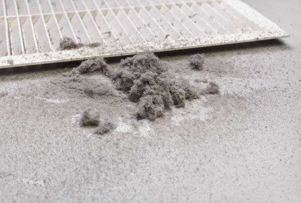 Best Ventilation Cleaning Services  in Fort Dodge, IA
