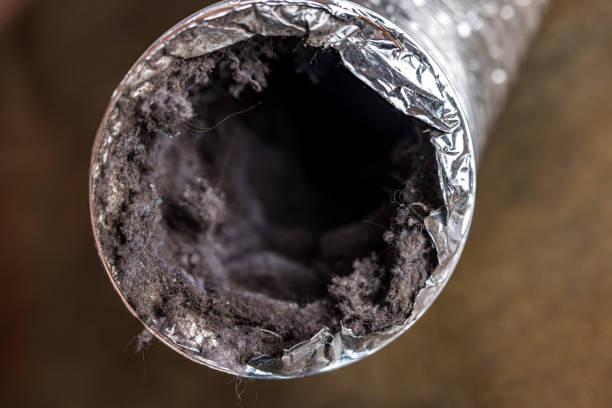 Best Professional Duct Cleaning Services  in Fort Dodge, IA